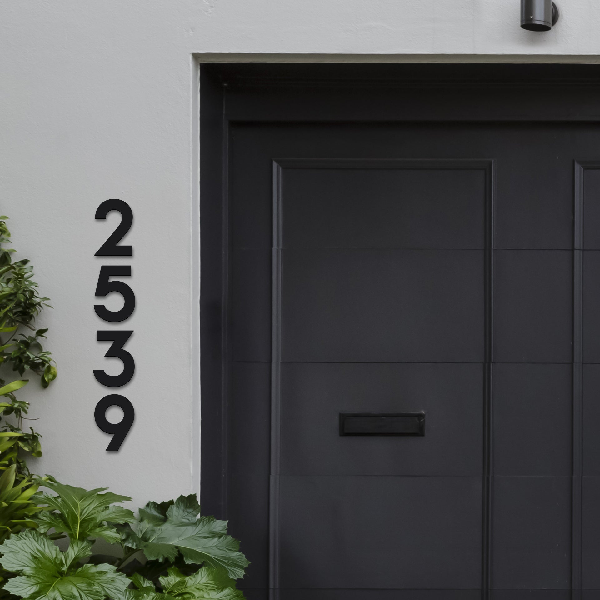 Black house numbers '2539' mounted on a white wall next to a black door, with greenery in the background.