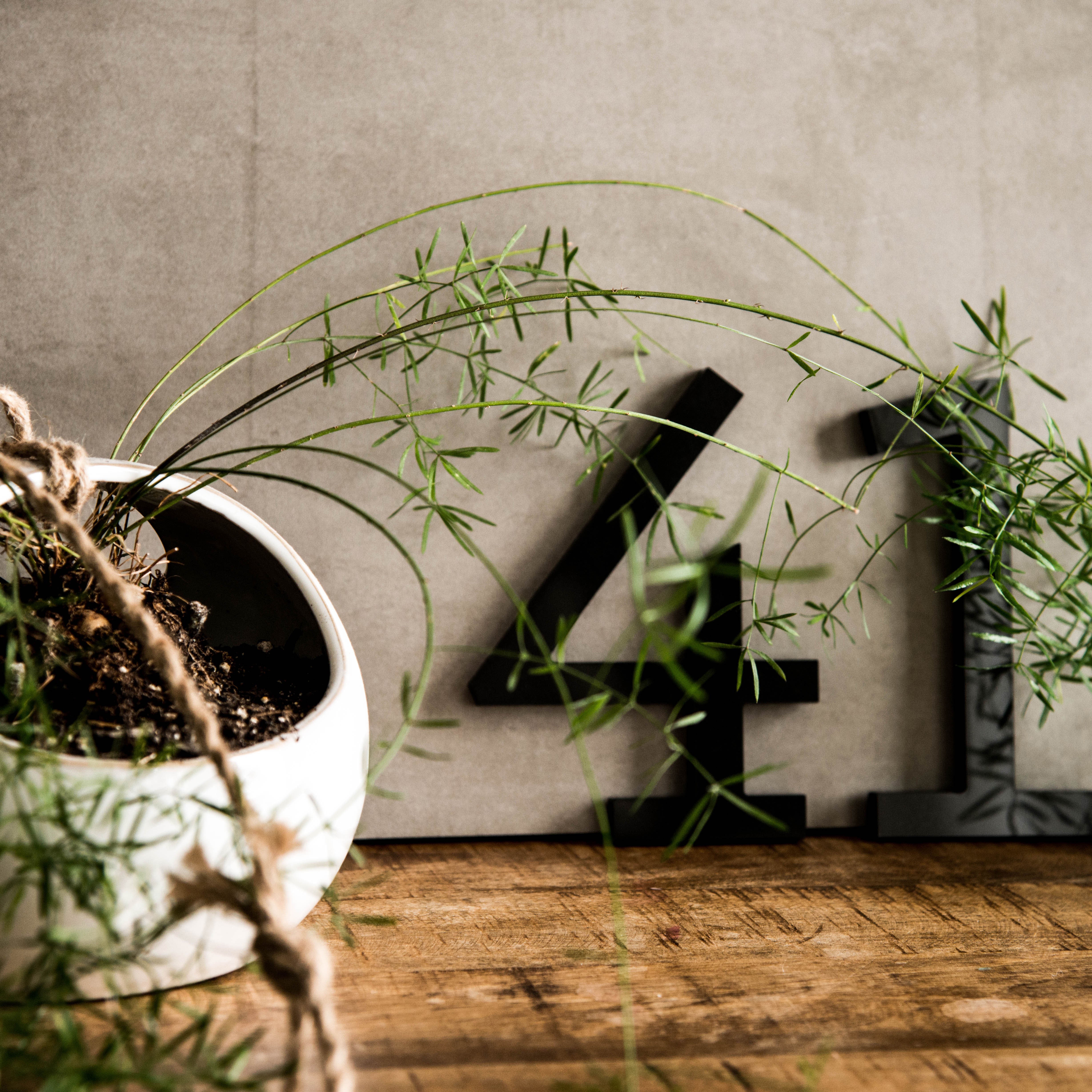 Clare House Numbers and Letters