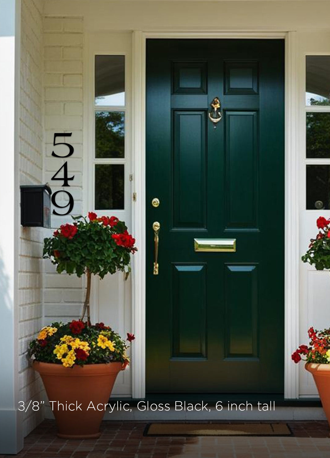 Green front door with gold handle and mail slot, flanked by potted plants on a white wall. Black metal 6 inch house numbers.