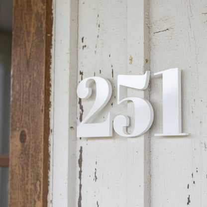 White house numbers '251' on a rustic wooden door.