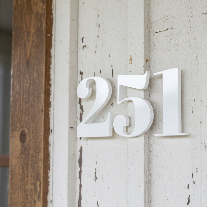 White house numbers '251' on a rustic wooden door.