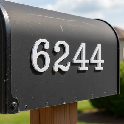 Black mailbox with white house numbers '6244' against a blurred outdoor background